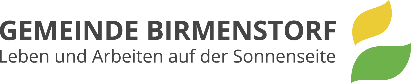 logo birmenstorf